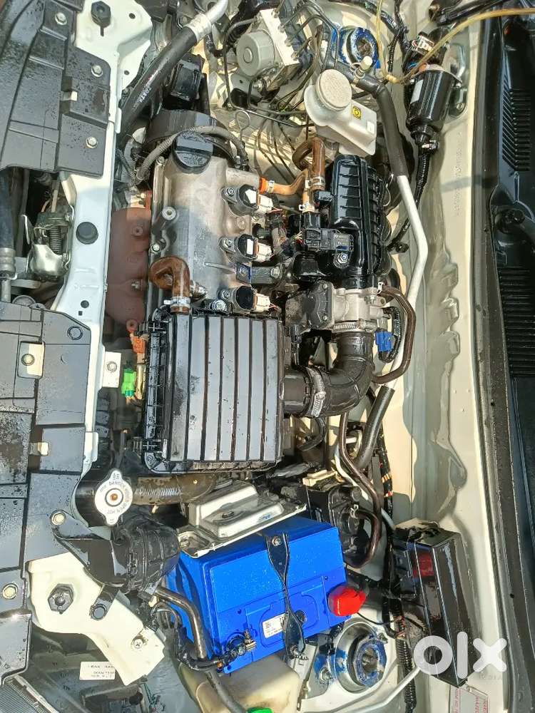 Maruti Suzuki Alto 800 2021