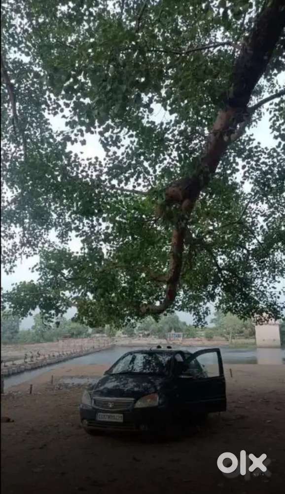 Tata Indigo Cs Glx 2008