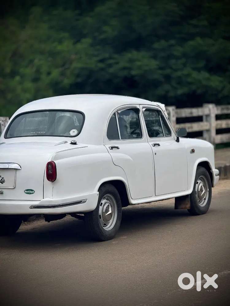 Ambassador For Sale