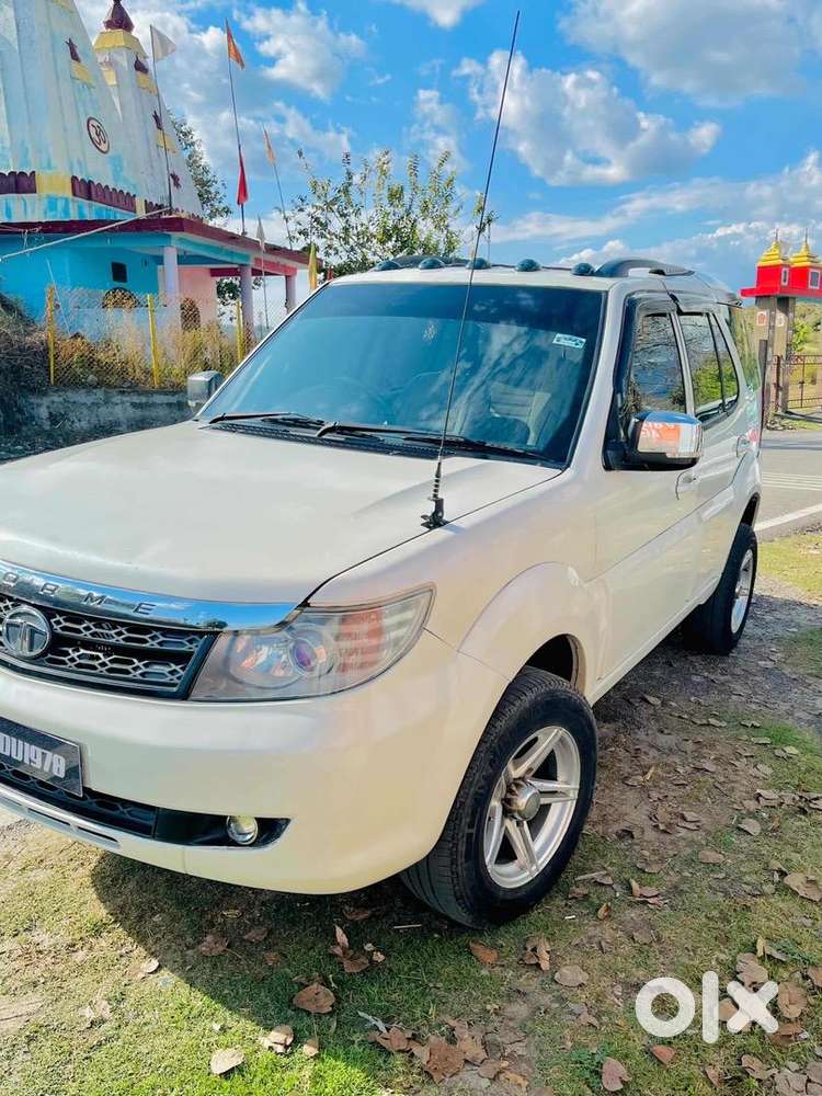 Safari Strome Full Modified