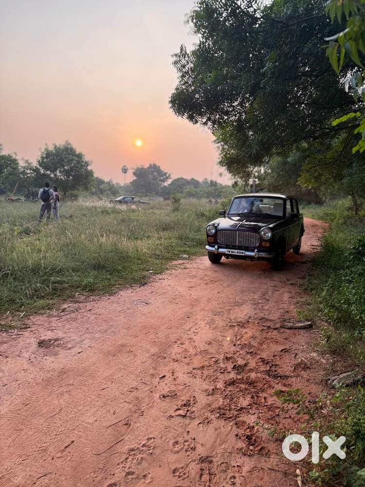 Premier Padmini Diesel Restored 1998 Fc 2030