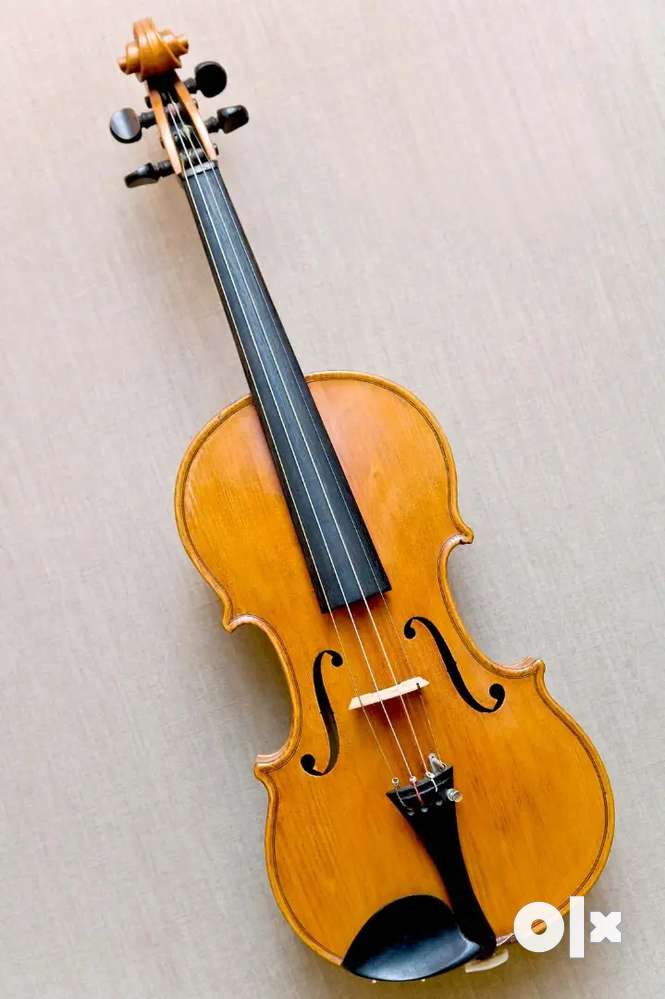 Olx violin sales