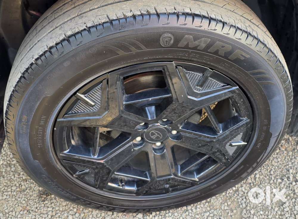 Tata Safari Accomplished X Plus 6 Str At, 2024, Diesel