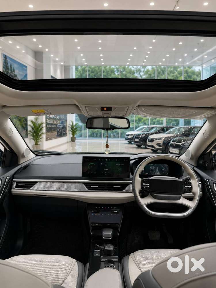 Tata Curvv Ev 2024