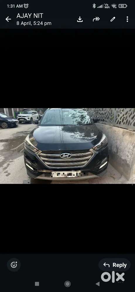 Black Beauty Tucson Automatic