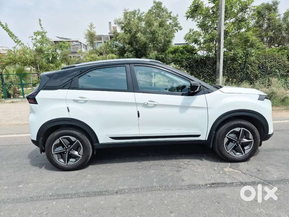 Nexon Cng Creative Plus Ps Dt