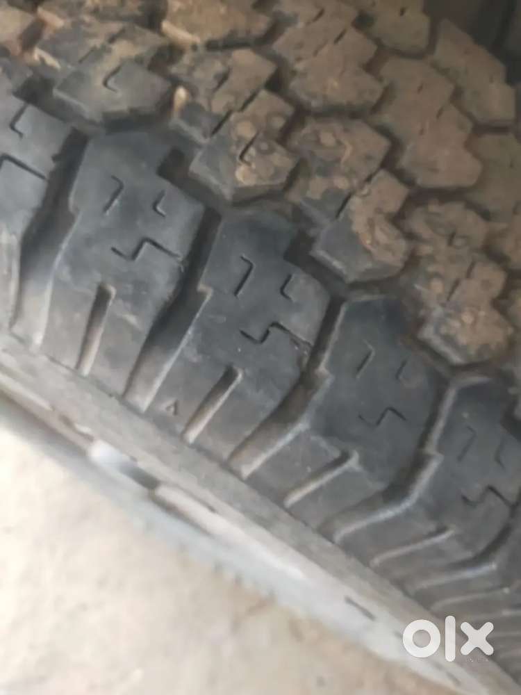 Sumo Gold Good Condition