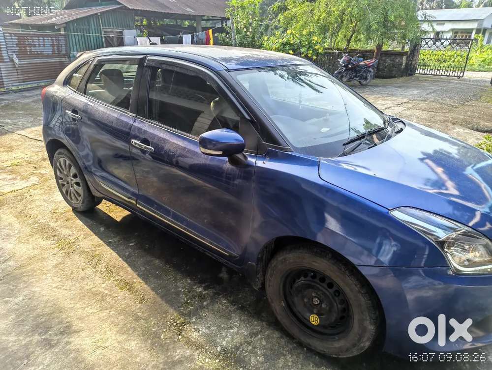 Baleno Alpha Top Model