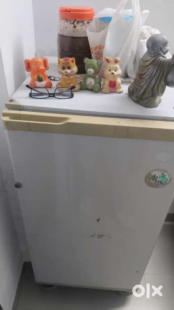 Fridge for seel