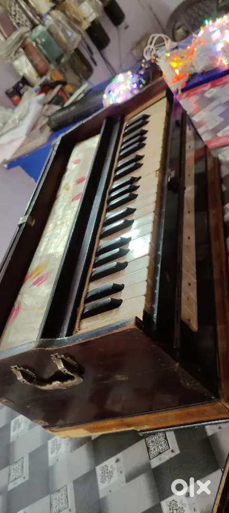 Organ read harmonium