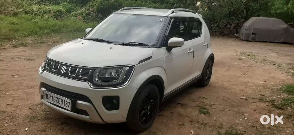 Maruti Suzuki Ignis 2023 Alpha Petrol