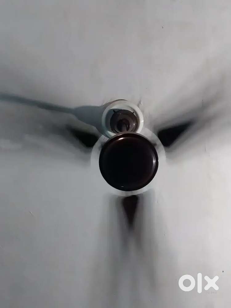 Siling  Fan