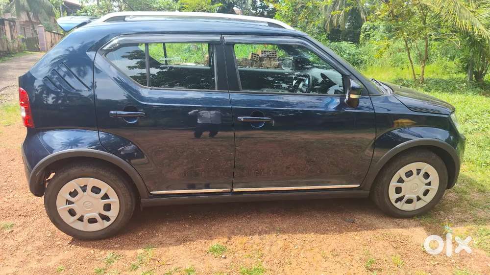 Maruti Suzuki Ignis Delta 2025