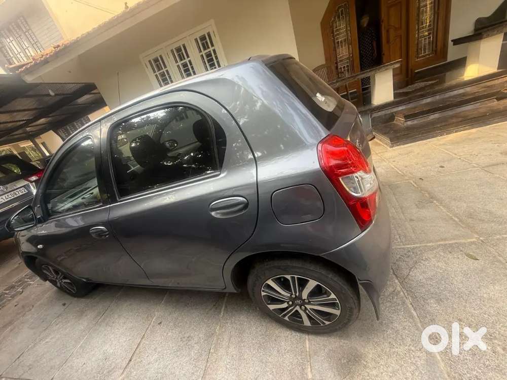 High Quality New Shep Platinum Upgrade I