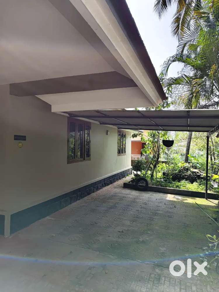 Individual house