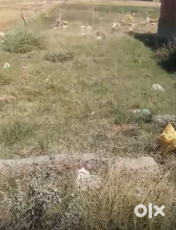 Shankar City Phabhat Road