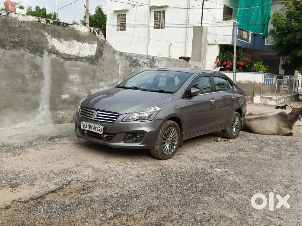 Suzuki Ciaz Diesel Zdi+ Shvs Top Model