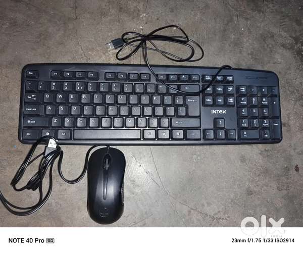 Intex keyboard or lapcare Mousr