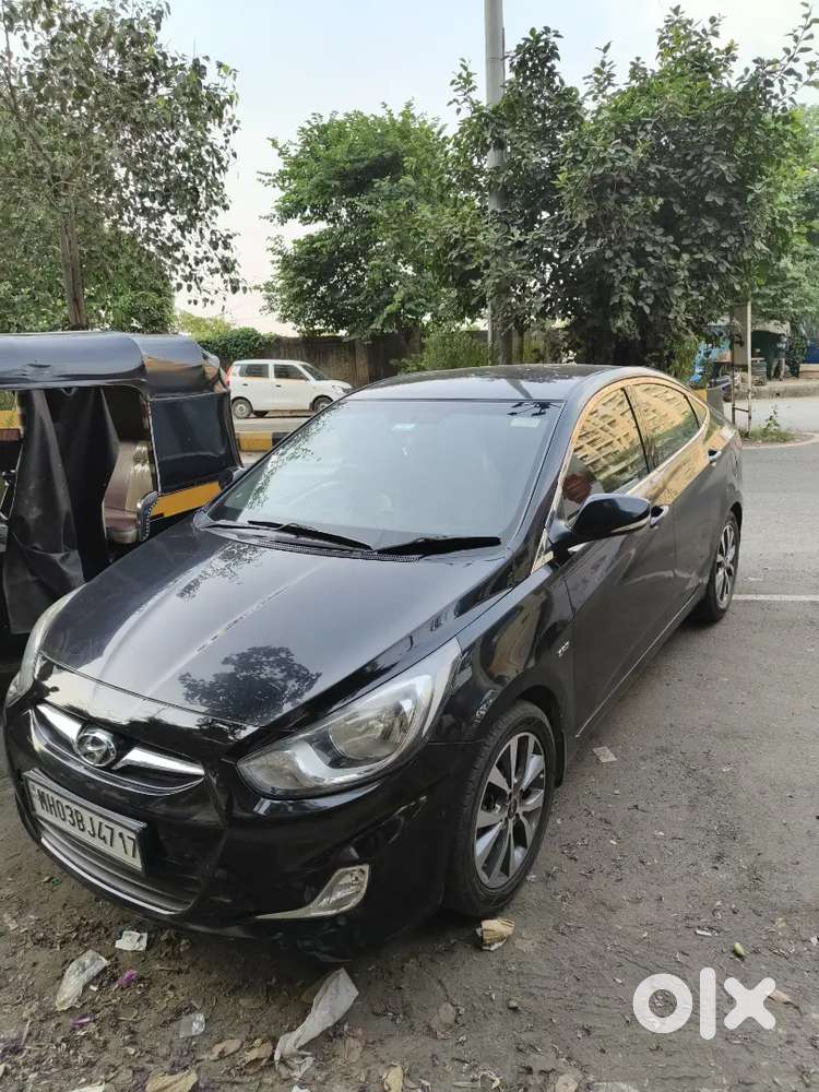 Black Verna 2013