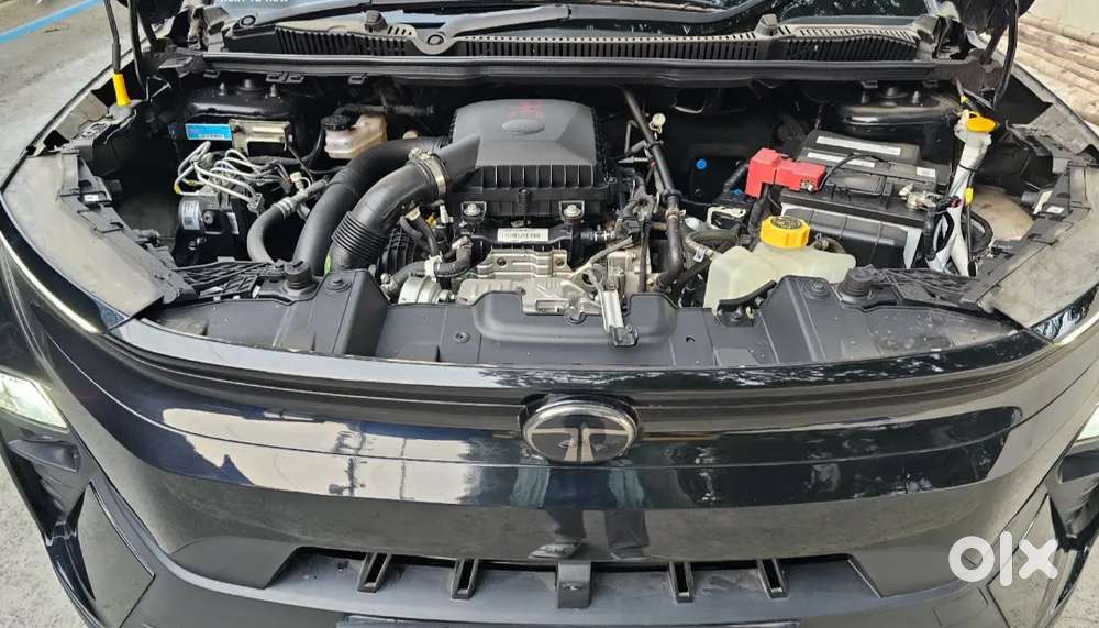 Tata Nexon Creative Plus (s) Revotron 6amt Dt (dark Edition)-2025