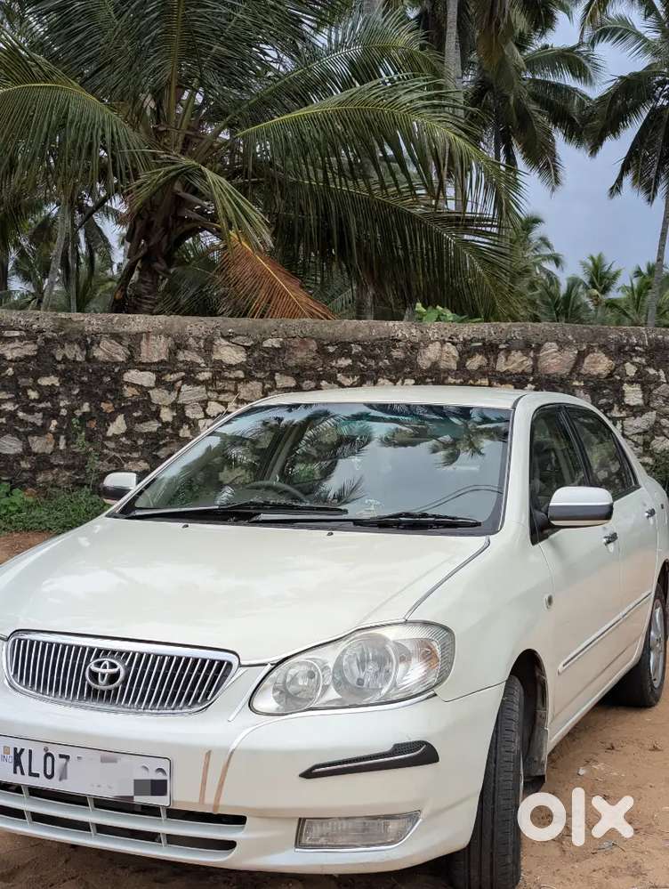 Toyota Corolla Well Maintained