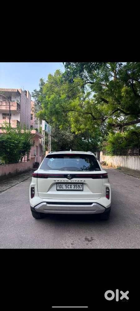 Maruti Suzuki Grand Vitara 1.5 Delta Cng, 2025, Cng & Hybrids