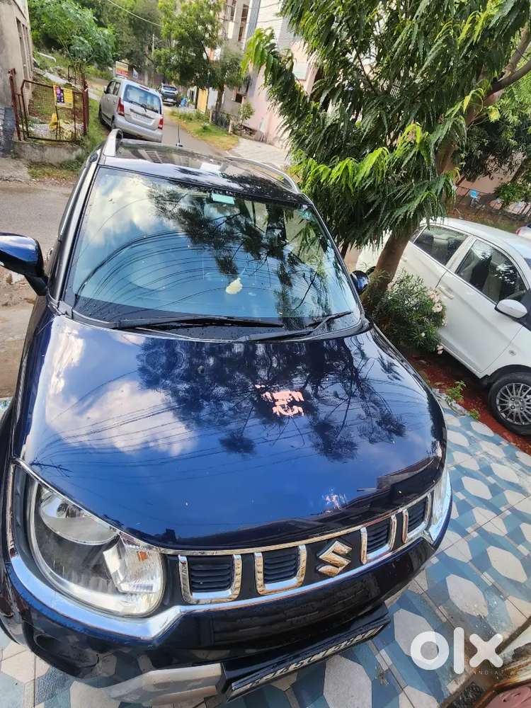 Maruti Suzuki Ignis 2022 Cng & Hybrids 42000 Km Driven
