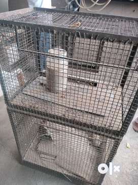 Dog best sale pinjra olx