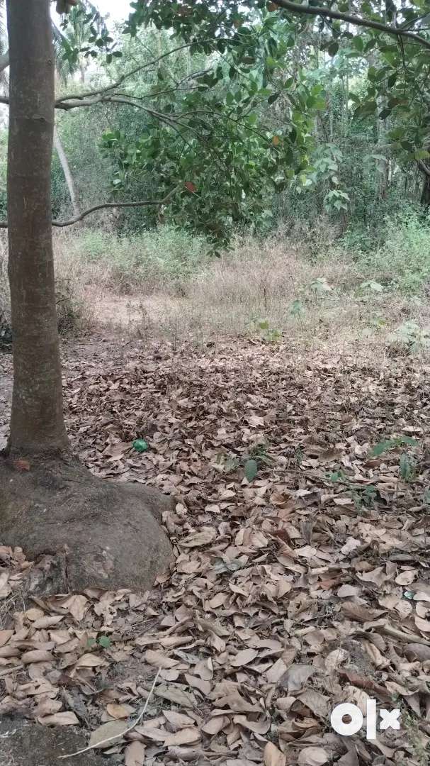 800m2 plot for Sale in Nuvem , South Goa - Lands & Plots - 1766090973