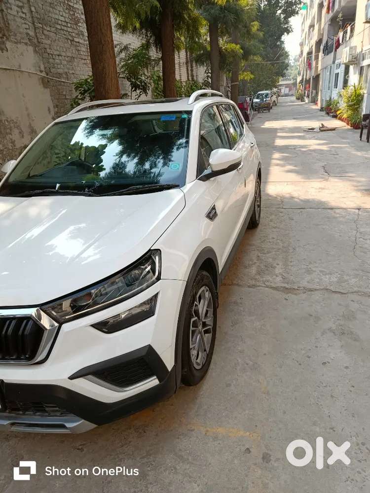 Skoda Kushaq 2023 Petrol Well Maintained