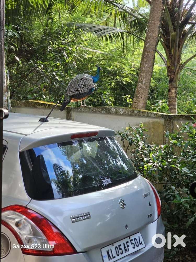 Maruti Suzuki Diesel 2012