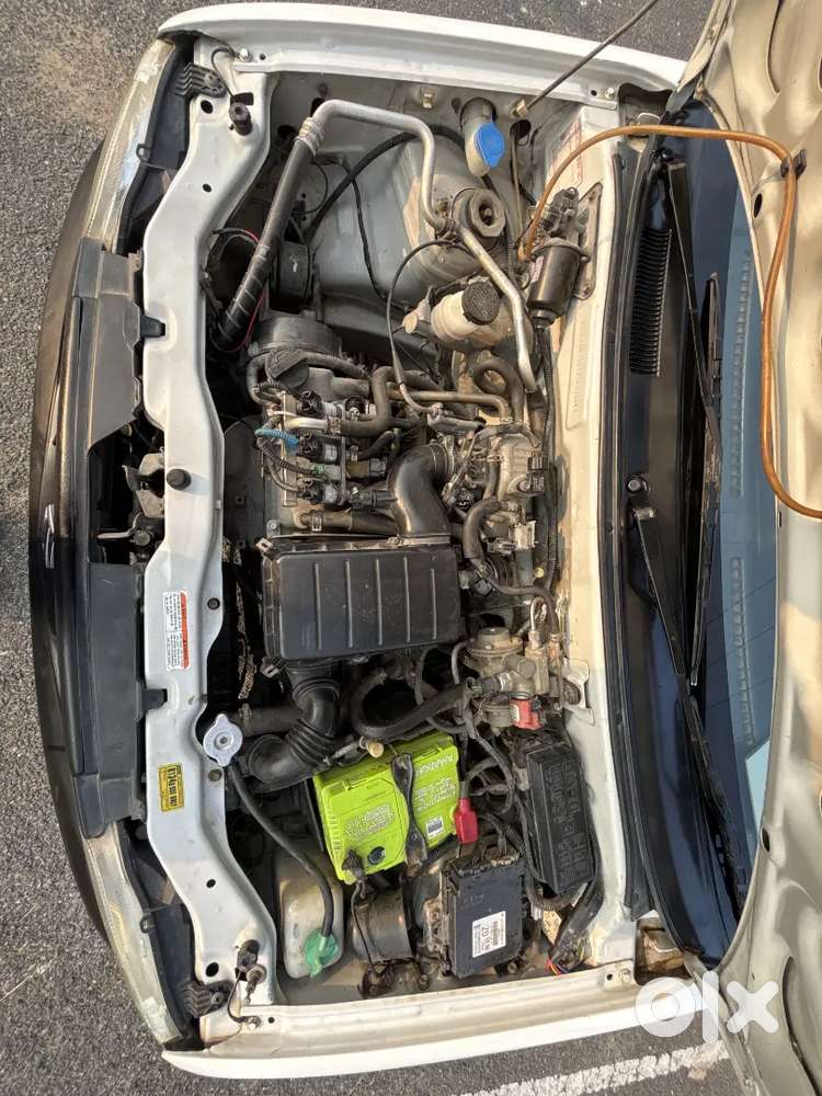 Alto Cng Green Lxi