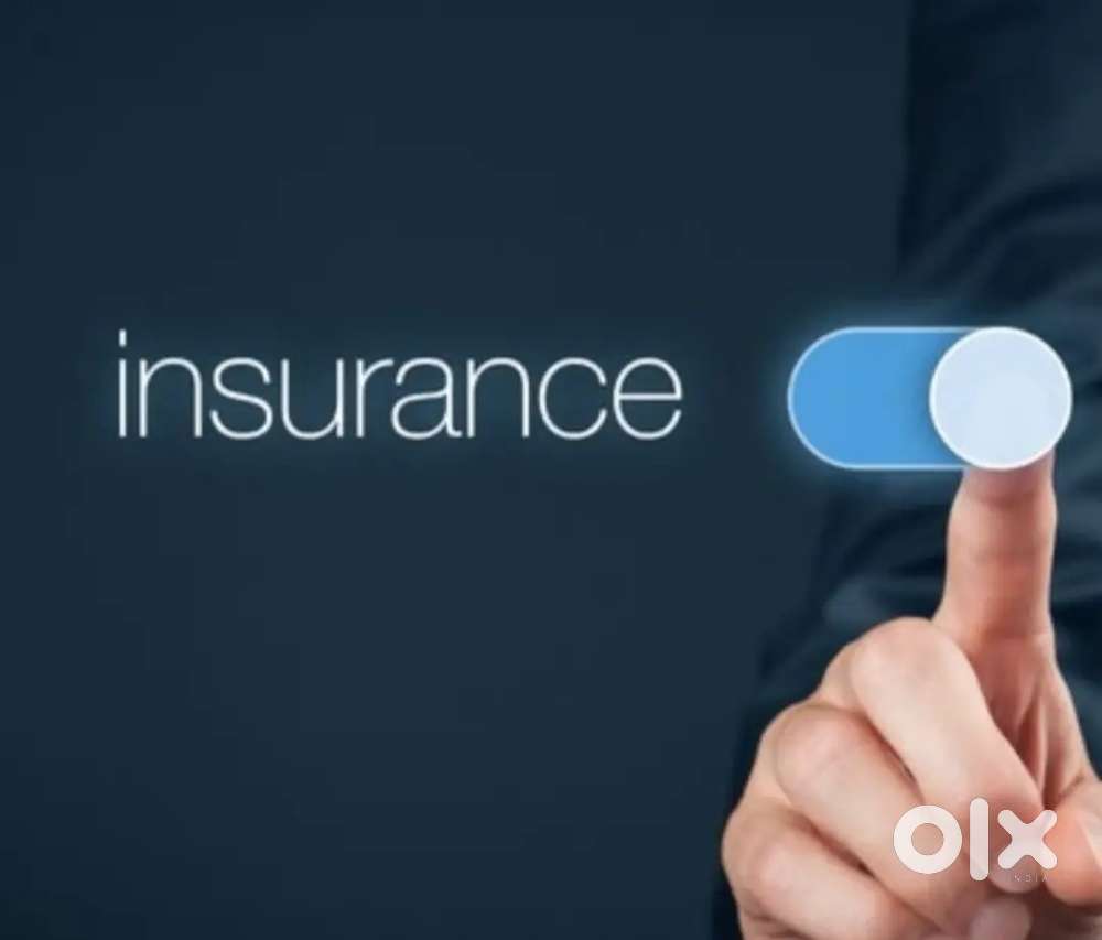 Insurance sales executive