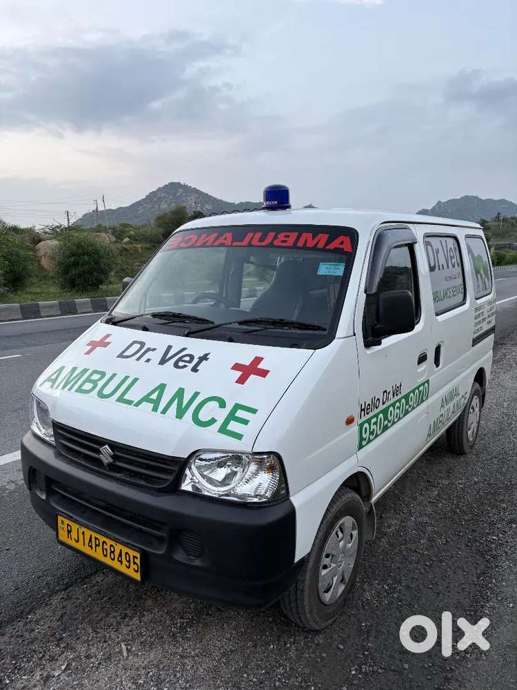 Maruti Suzuki Eeco 2025