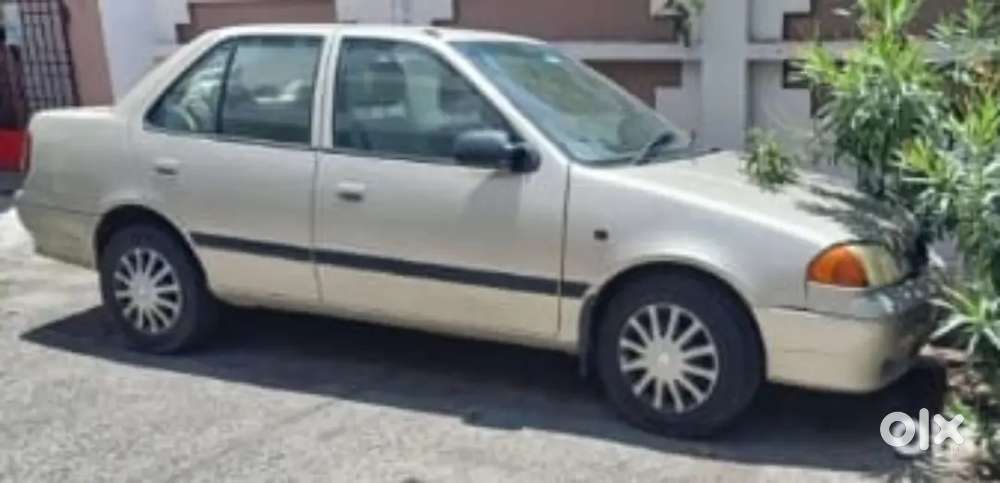 In Immaculate Condition