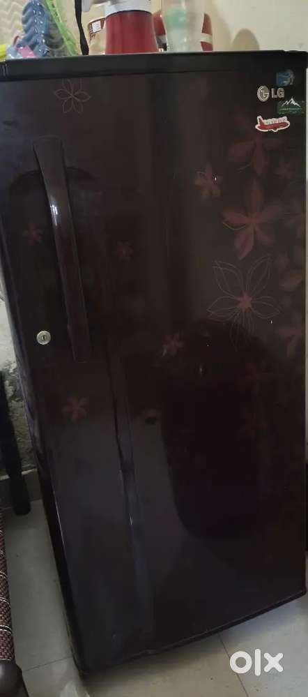 LG fridge company