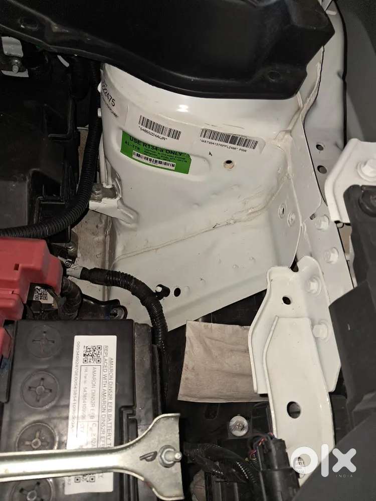 Accomplish Pluch Top 2 Very Ant Bat An Start