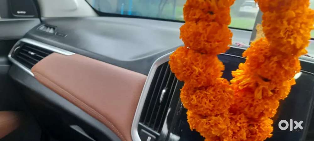 Mg Hector Plus Hybrid 2021 Automatic  Petrol