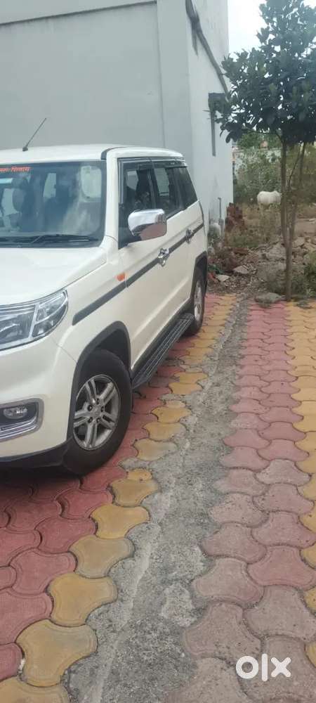 New Car Parches