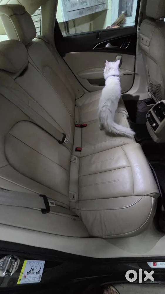 Audi A6 Tdi 2018 Diesel Automatic