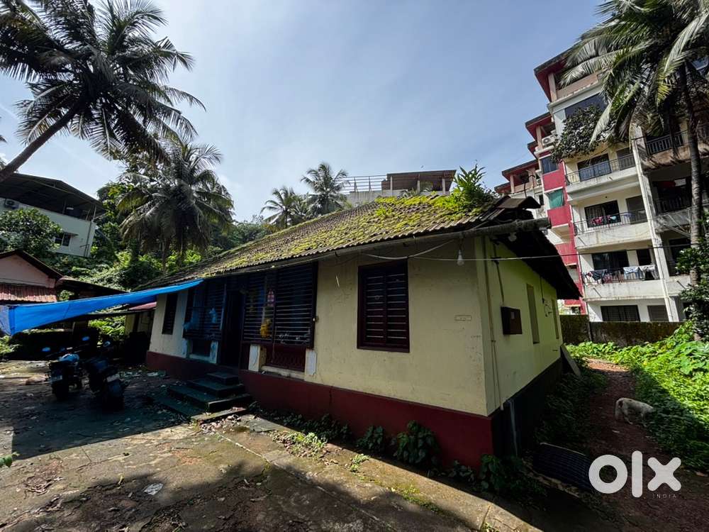 Single Room for Rent
