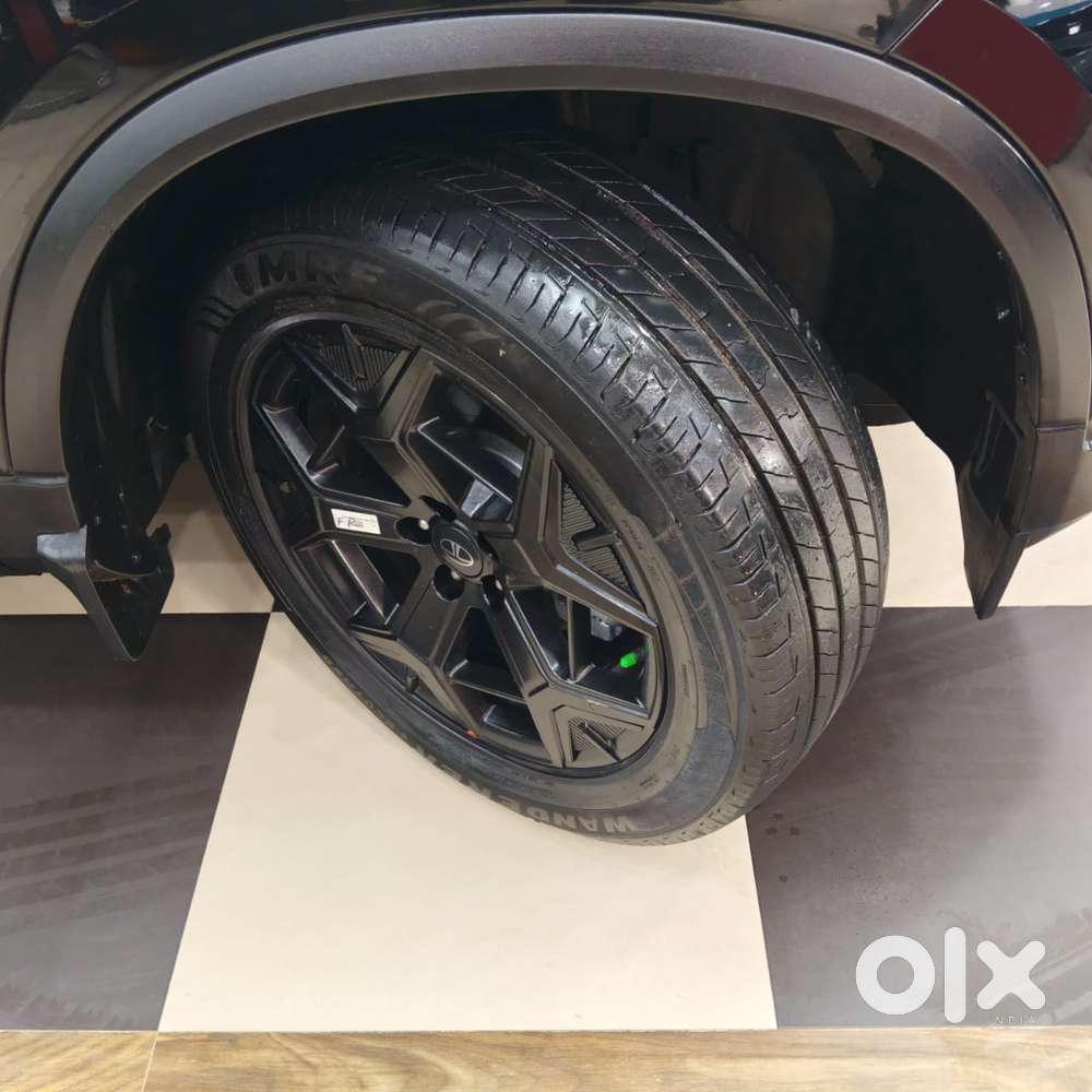 Tata Safari Adventure Plus Dark Edition At, 2024, Diesel