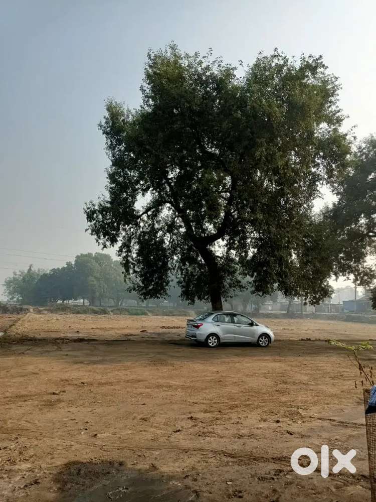 Hyundai Xcent S Petrol 2019