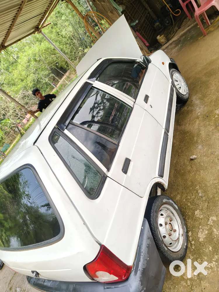 2013 Model