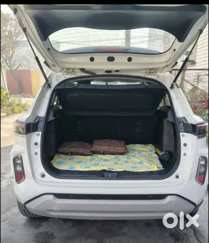 23/11/25 Model New Seat Cover