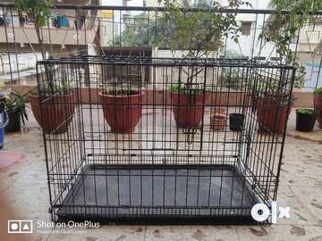 Cat cage clearance olx