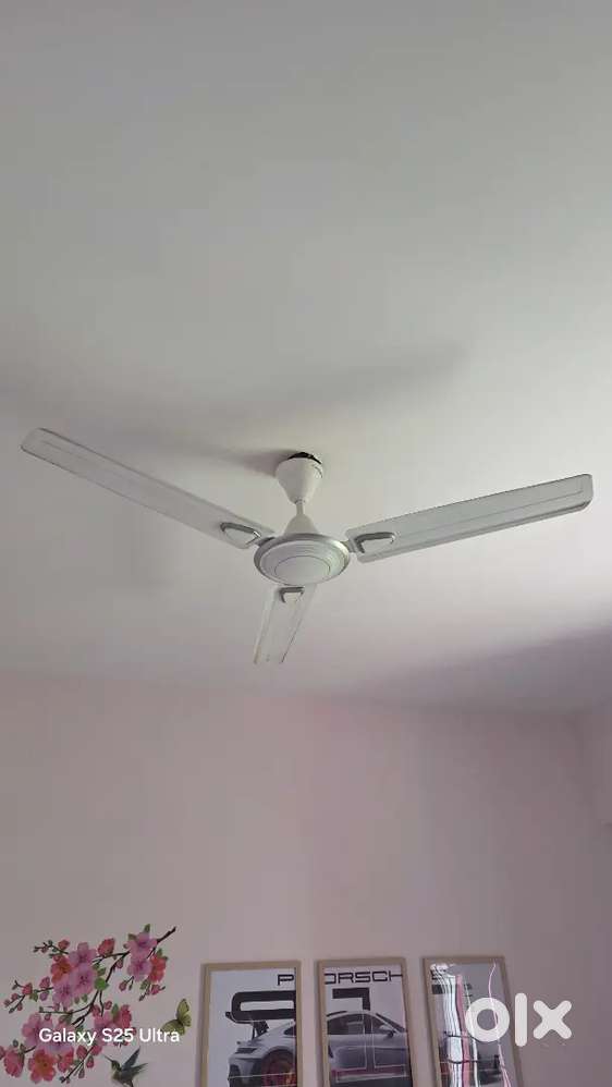 Ceiling fan