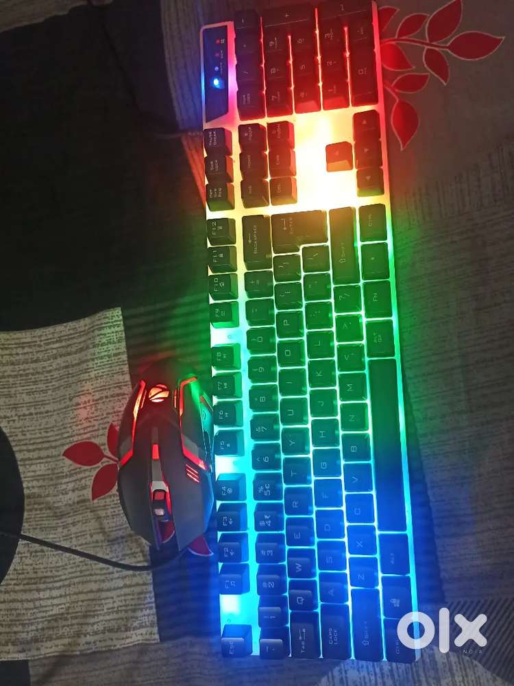 Zebronics keyboard and mouse