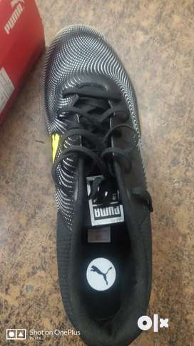 Puma sale in chandigarh best sale