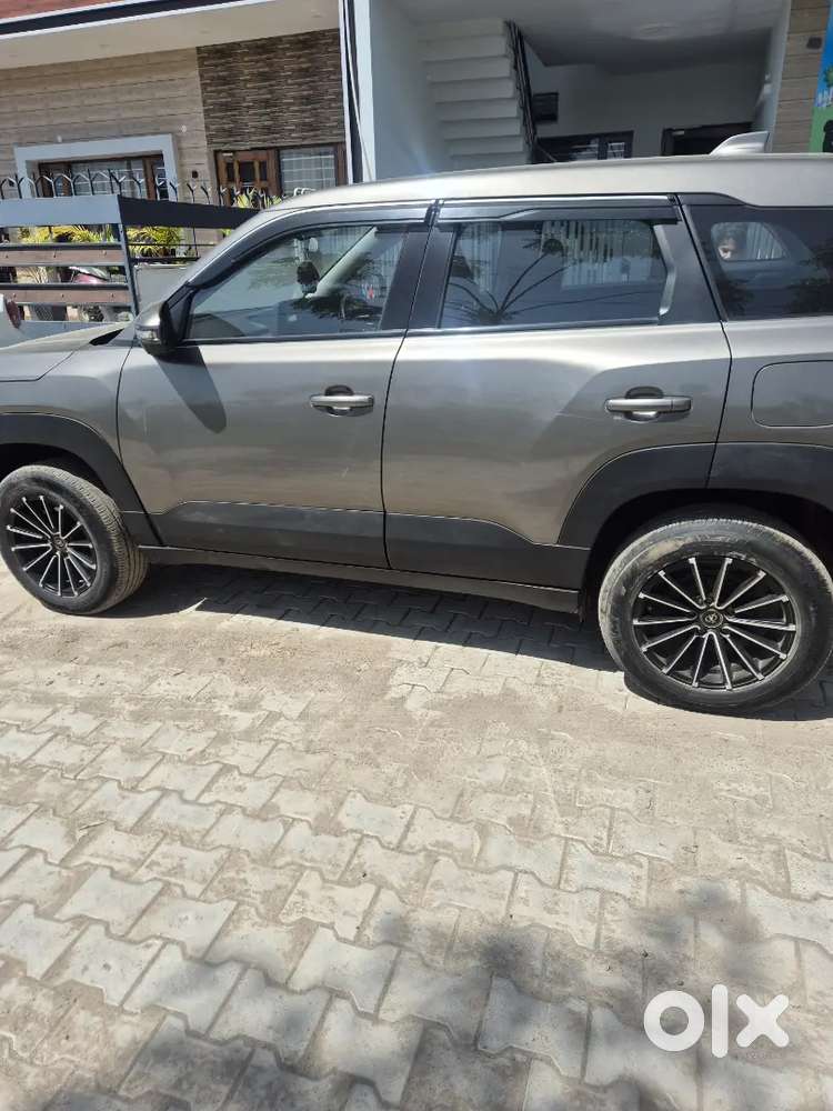 Maruti Suzuki Brezza 2023 Petrol 33800 Km Driven